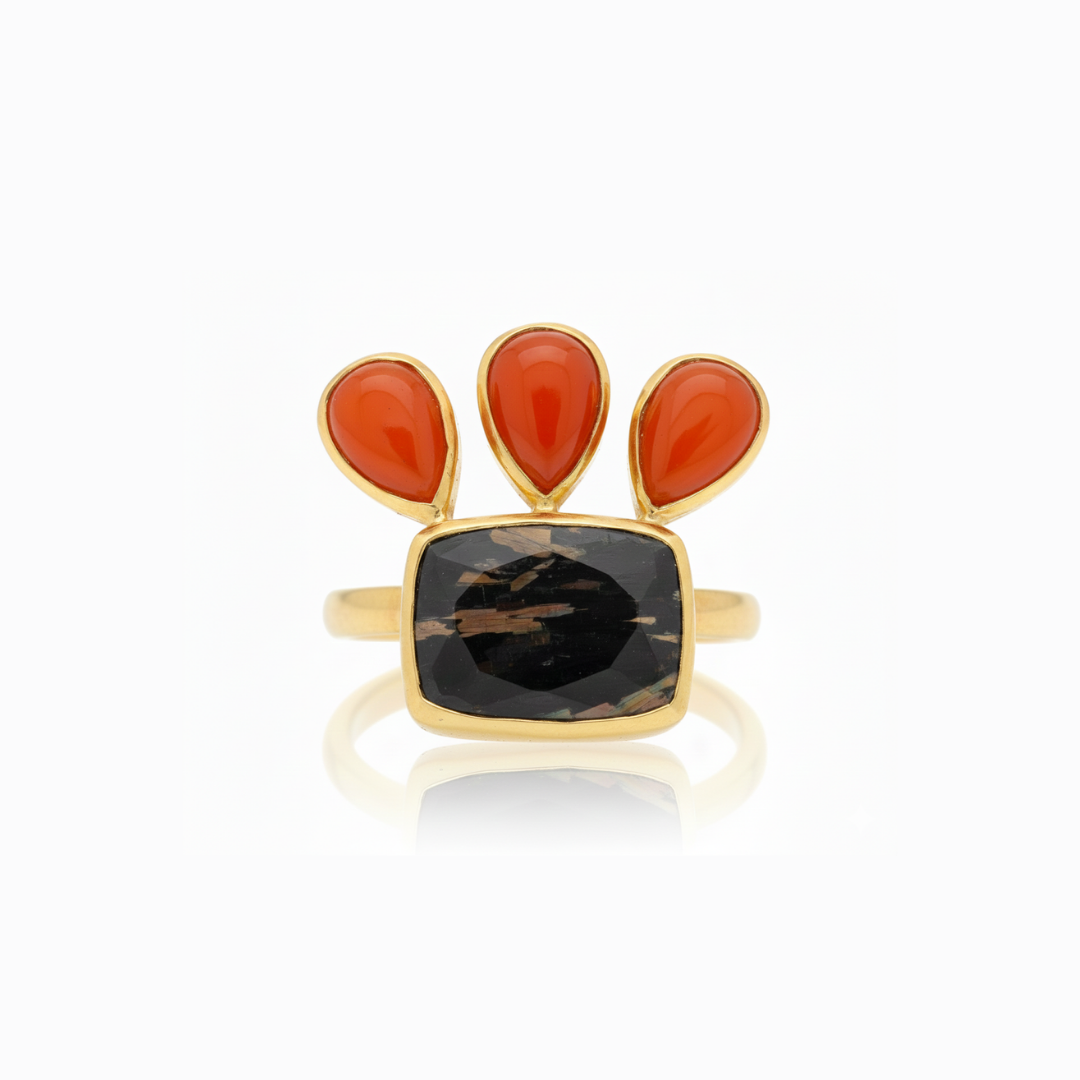 One Off | Nuummite And Carnelian | Ring